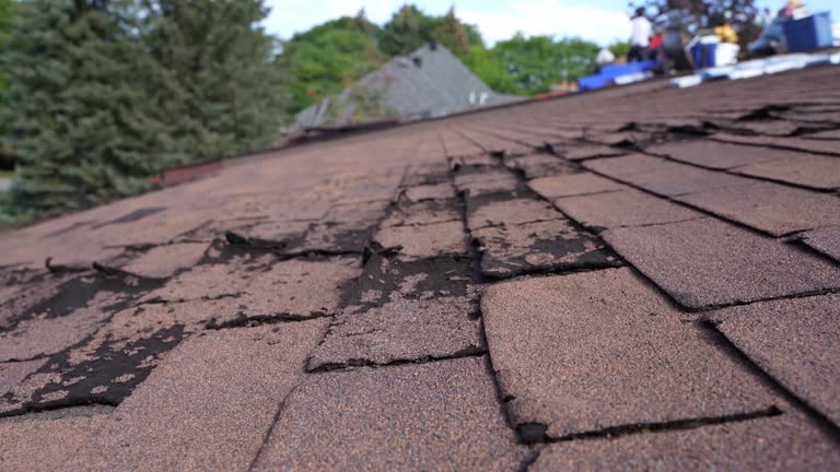 Best Wood Shake Roofing  in Edgeworth, PA