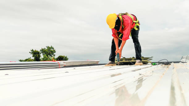 Best Commercial Roofing Services  in Edgeworth, PA