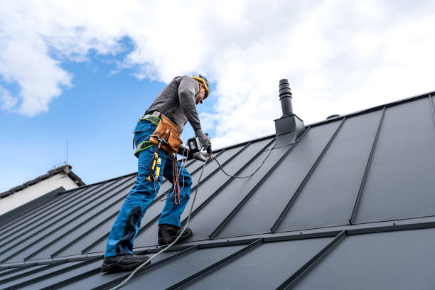 Best Roof Maintenance and Cleaning  in Edgeworth, PA